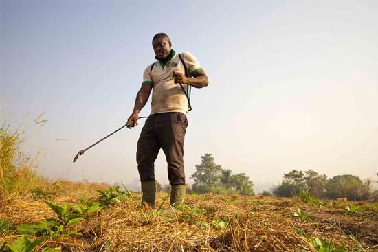 Agriculteur en plein traitement phytosanitaire - Photo : R. Belmin