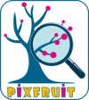 logo-PIXFRUIT