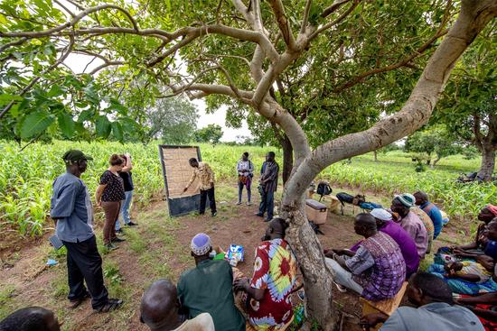 Hamado Sawadogo et son équipe animent un atelier de co-évaluation des options agronomiques à Arbollé, Burkina Faso. Photo : R. Belmin