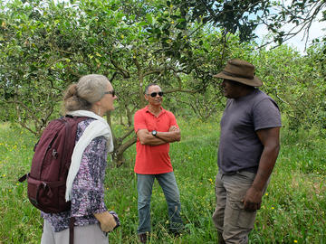 Rencontre de Mr Yebo producteur d'agrumes à Petite-Ile